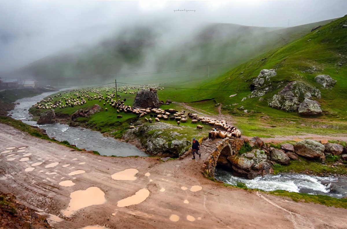 Mazide kalan bir manzara.
Fotoğraf: Yüksel Yavuz