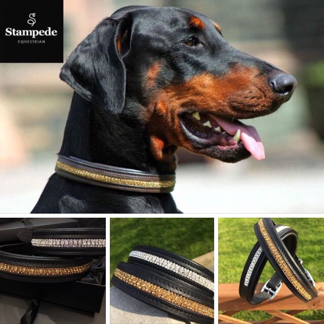 StampedeEq's tweet photo. Easter Sale #dogcollars #goodvetguide #thedogslist #dobermann #dogbreeds #dogworld #dogsoftwitter https://t.co/eXsa9hGBQR