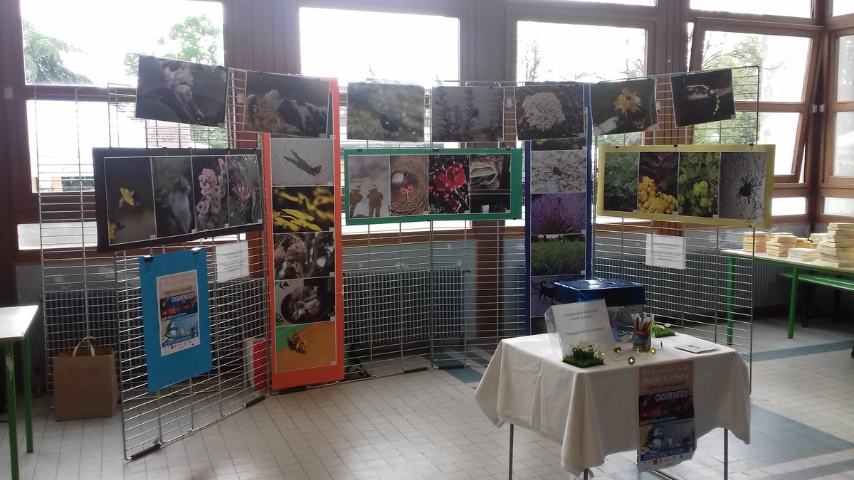 sofonlabour's tweet photo. Journée de la #biodiversite au lycée de #Fonlabour à Albi jeudi 18 avril : des ateliers, des conférences, des expérimentations, des expositions dont le concours photo du CDI. https://t.co/AZ7TIlg86z