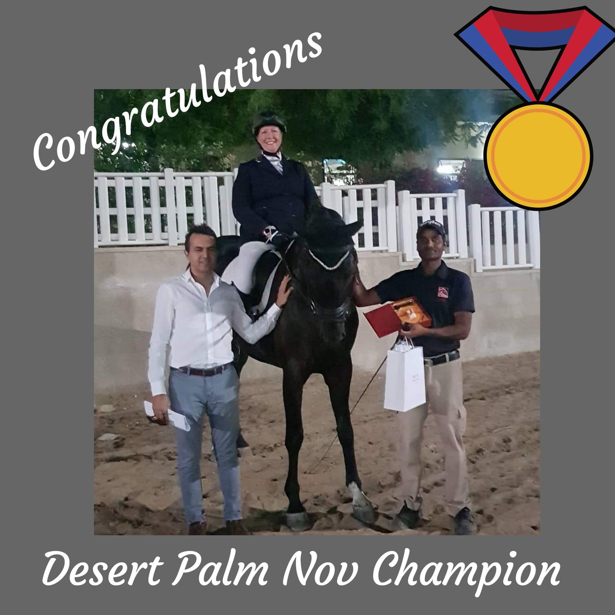 AmandaBirchDressage tweet media