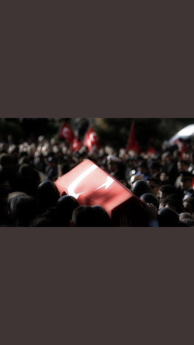 Vurulup ömrünün ilkbaharında
Kanından çiçekler açar yarında
Cümle şehitlerin omuzlarında
Bir sabah gelecek kardan aydınlık.