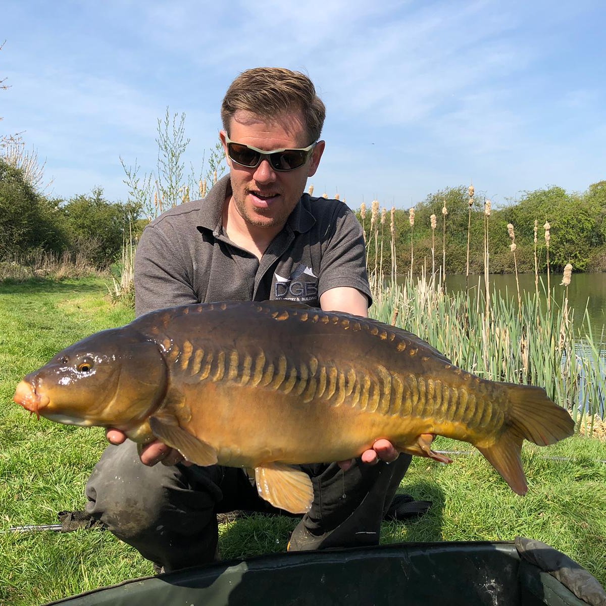 FoldFisheries's tweet photo. Think they're on the feed 😊 https://t.co/3Ip9kCkjD2