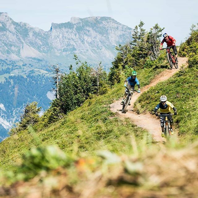 mtbswitzerland's tweet photo. Das perfekte Wetter für ein Oster-Bike-Weekend! 🐇🤩
#MTBswitzerland via @bikerberg_flumserberg: "We love autumn rides... do you too?🙌😉
#bikerberg #flumserberg #bikerberglove #redfox #inlovewithswitzerland #mtbswitzerland #rideeatsleeprepeat #rideon #t… https://t.co/s7r2iDpxBo https://t.co/lBly5WhkmS