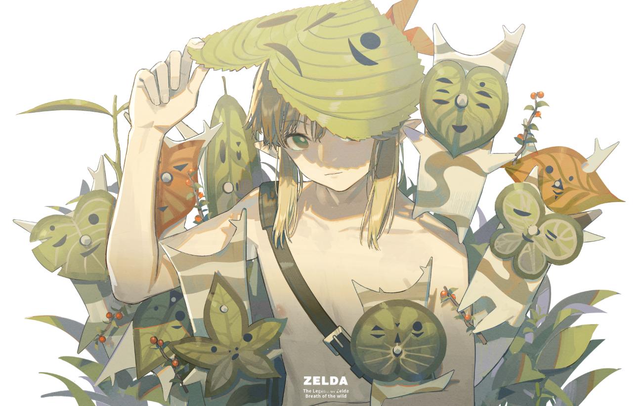 ゼルダの伝説 mqdefault.jpg