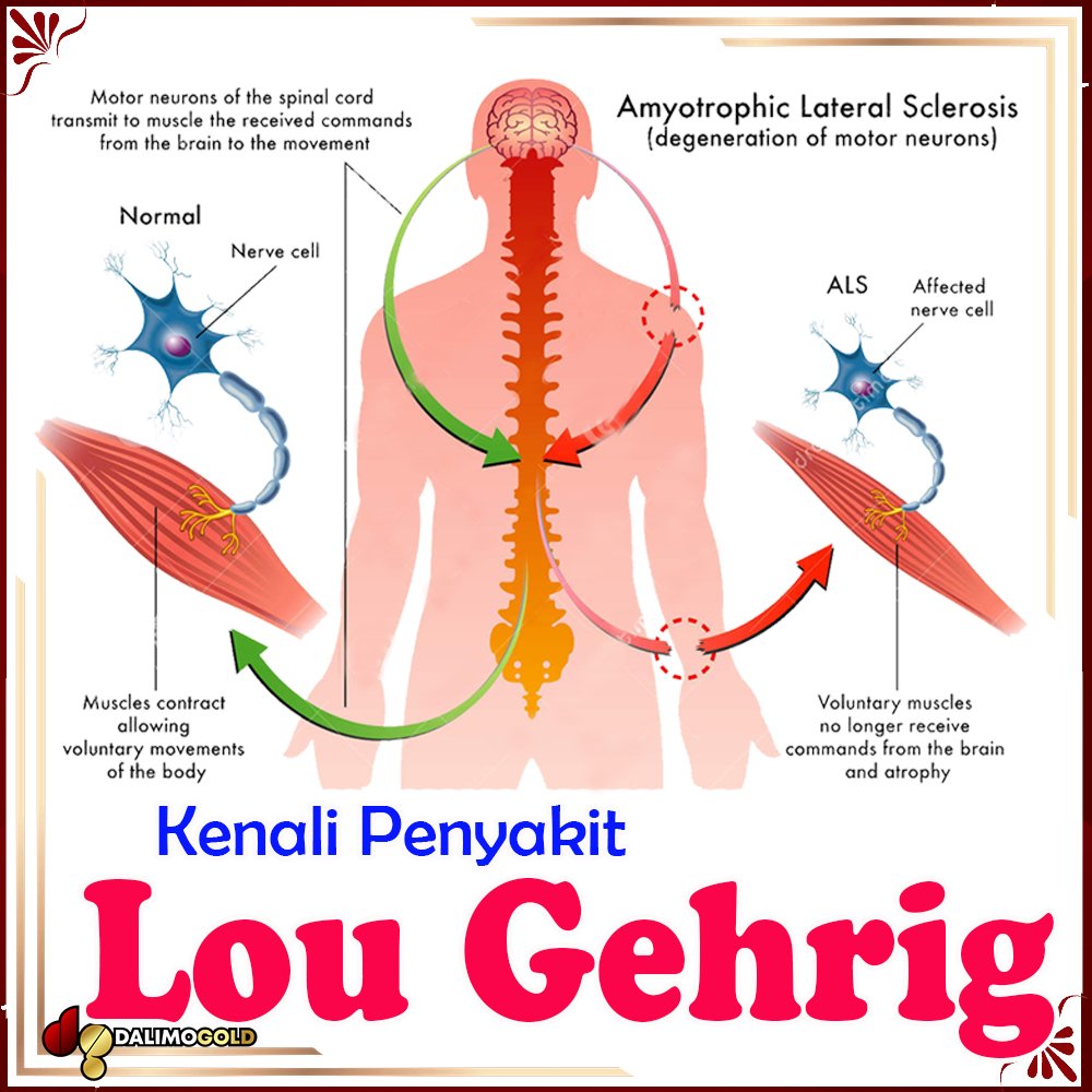 download antibiotic therapy for geriatric patients