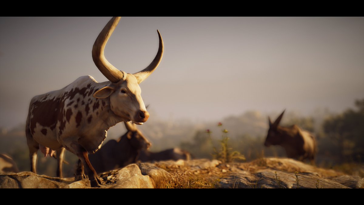 MisthosLiving's tweet photo. bulls doing bull stuff in greece alongside bull mural
#Bulls
#VirtualBullsOf Greece
#VirtualMuralsOf Greece
#AssassinsCreedOdyssey
#ACPhotoMode #AssassinsCreed #GamerGram
#Ps4Share #ACFinest #VGPUnite #VirtualPhotography https://t.co/6spmzwKEBc
