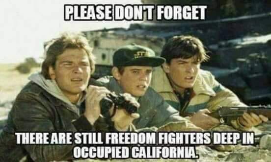 lbc360's tweet photo. I call on California Patriots to step it up a notch and take YOUR STATE BACK❕🇺🇸❕
The Patriots of the other 49 have your back.
YOU CAN DO IT. #MakeCaliRed https://t.co/0h0ST1lMOZ
