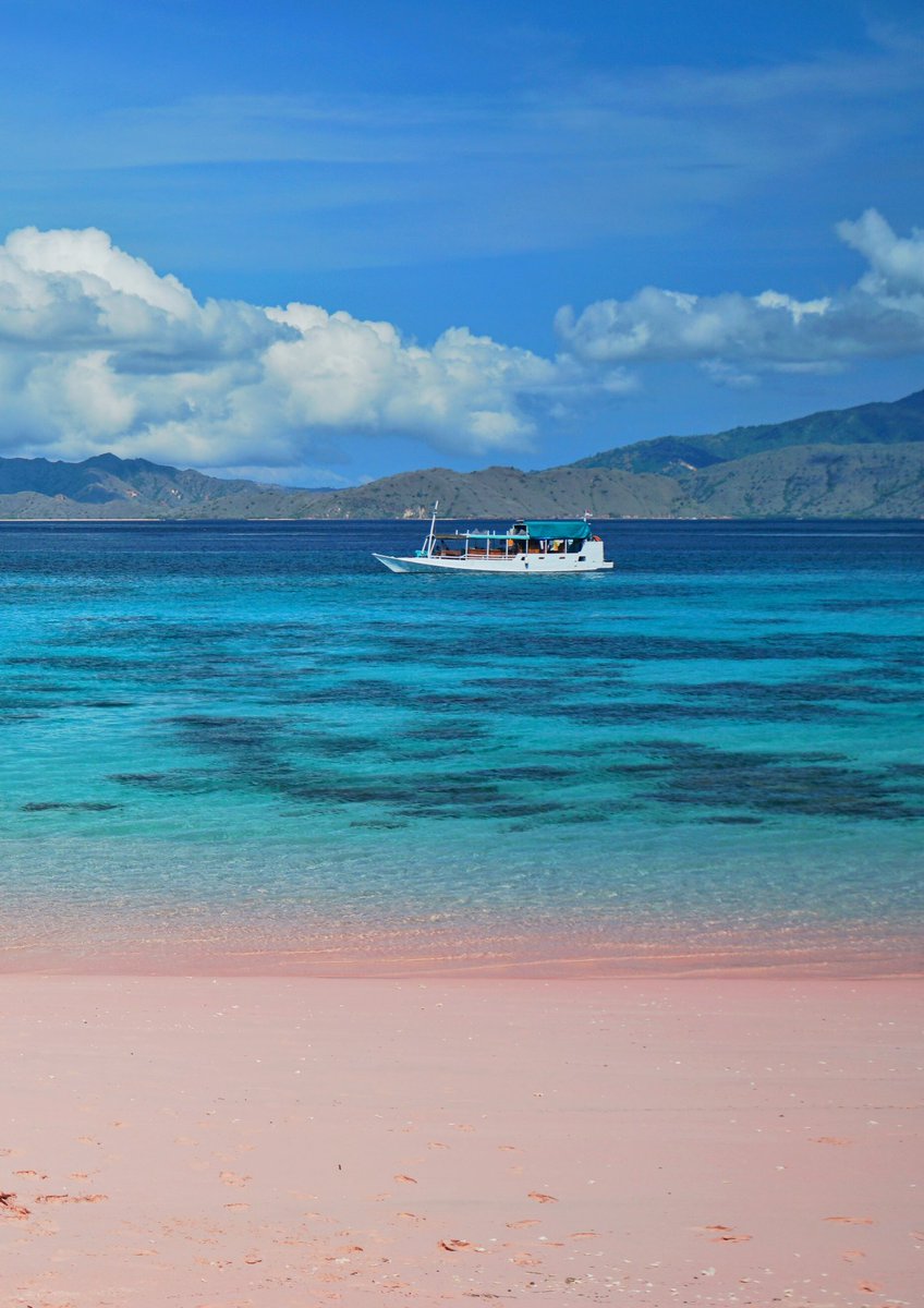 Open trip ke Labuan Bajo Komodo mulai dari IDR 2.500.000,-

Mau?

More info WA ke 082217124441 😊

📷 <a href="/gilangtamma/">Gilang Tamma</a>
📍Pink Beach Komodo
#opentrip #opentripkomodo #opentriplabuanbajo