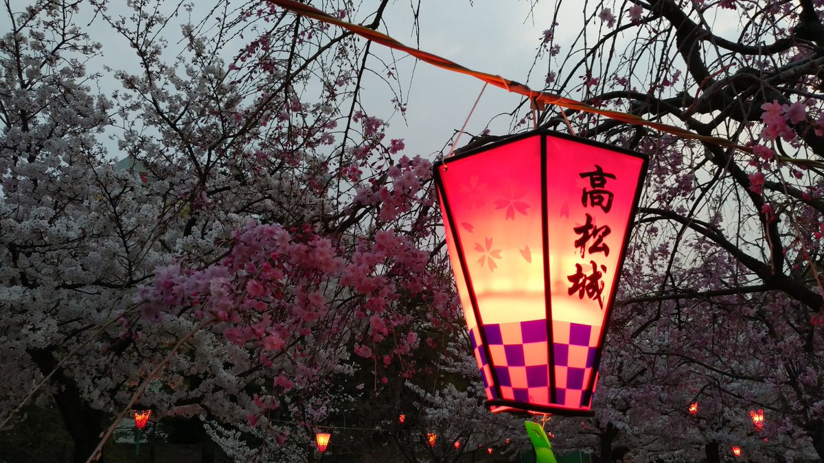 ぴろぴっぴ 先週 日曜日のお花見 玉藻公園 にて 夜のライトアップがあるとのことで 桜の下で宴会する方にはいい雰囲気ですが 桜を撮りに行くにはちょっと物足りないかも ここに来る前に 朝日山森林 公園の桜を見てきただけにね 香川県 玉藻公園 ぴろぴっぴ 先週 日曜日のお花見 玉藻公園 にて 夜のライトアップがあるとのことで 桜の下で宴会する方にはいい雰囲気ですが 桜を撮りに行くにはちょっと物足りないかも ここに来る前に 朝日山森林 公園の桜を見てきただけにね 香川県 玉藻公園