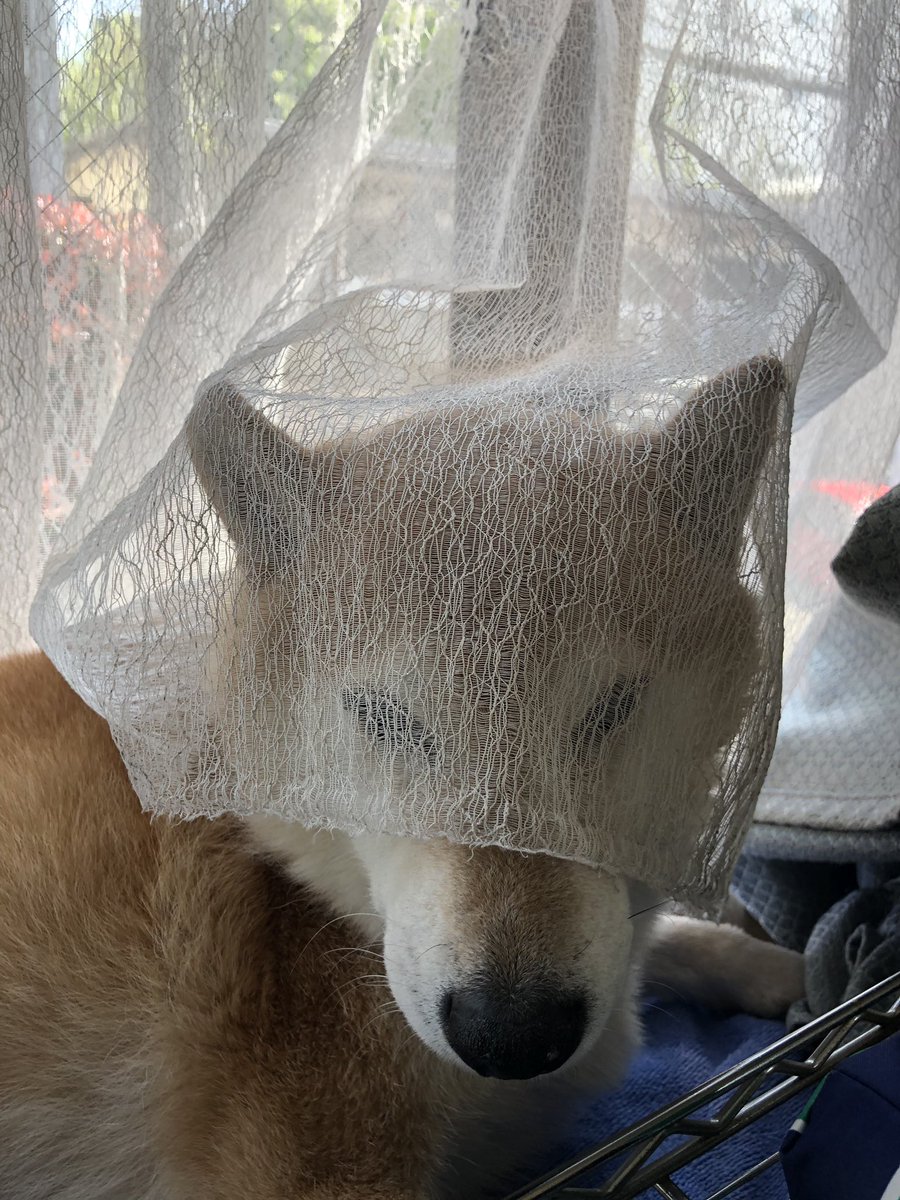 E6 9f B4 E5 Twitter Search