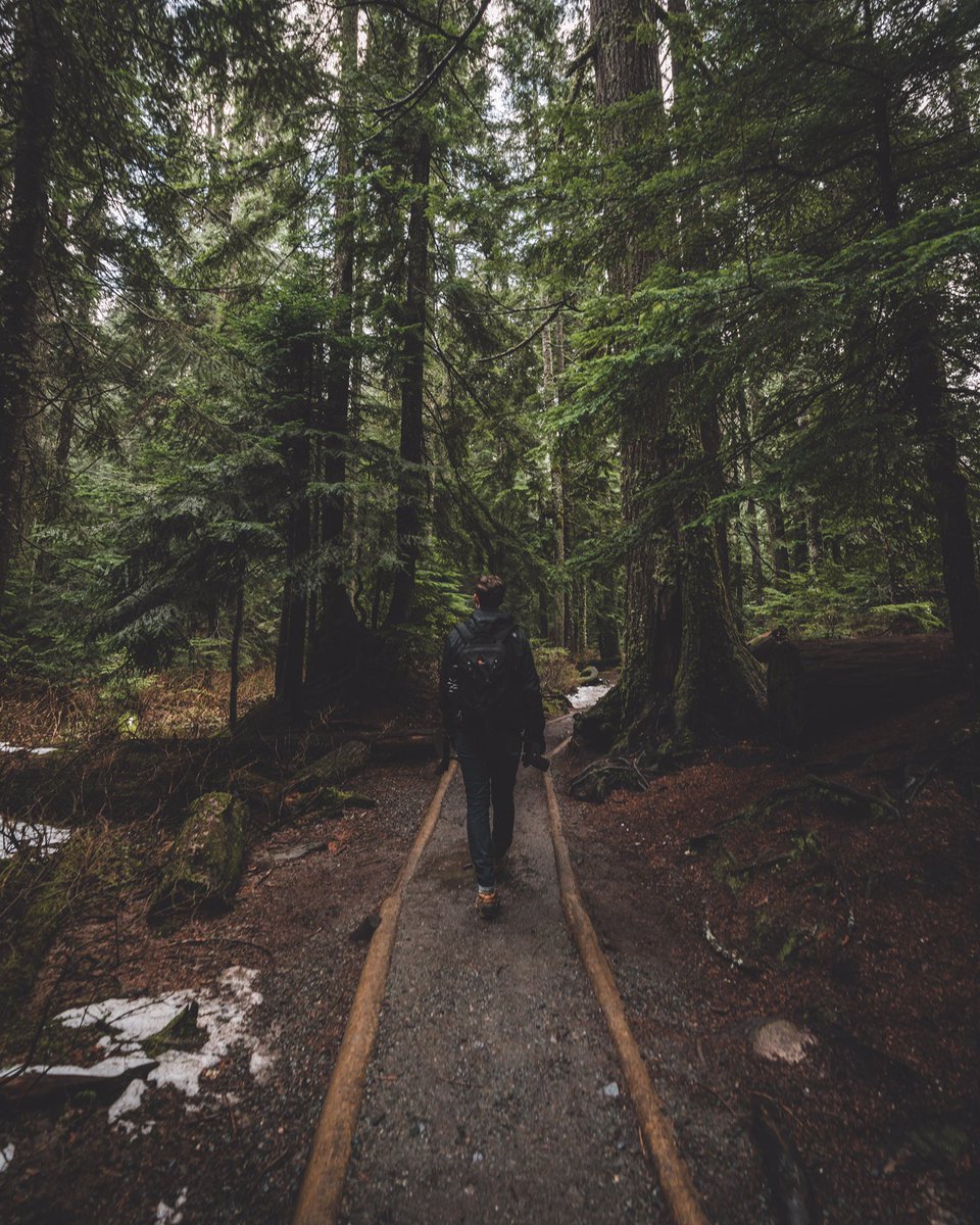 Will Brown tweet media