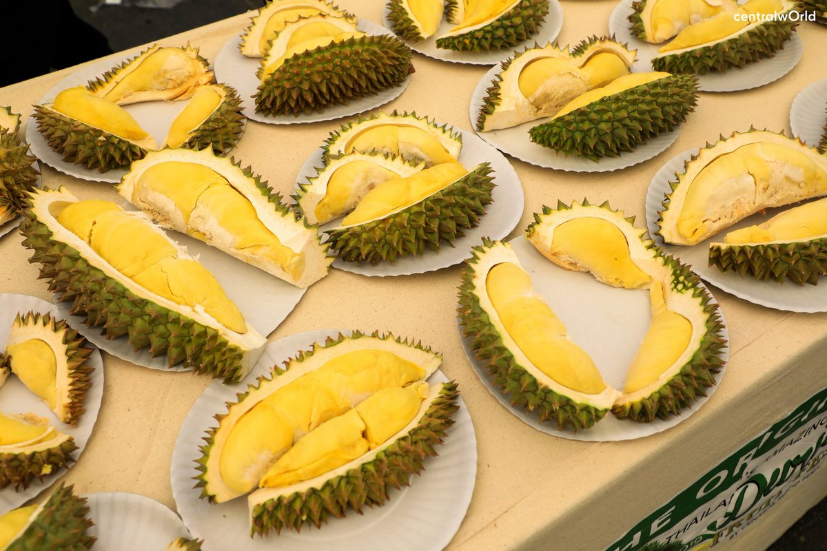 centralwOrld's tweet photo. ตามรอยหนุ่มๆ เต๋า & บาส ไปฟินกับบุฟเฟ่ต์ทุเรียนกัน “ #ThailandAmazingDurian2019 วันนี้ - 25 เม.ย.นี้ ณ ลานหน้า @CentralWorld Square B
#CentralFoodHall #TopsThailand
#centralwOrld
#taoaf8 #BasSBFive #SBFIVE
#Bbasjtr
#บาสเด็กอ้วนที่แท้จริง https://t.co/p6xoppR2E2