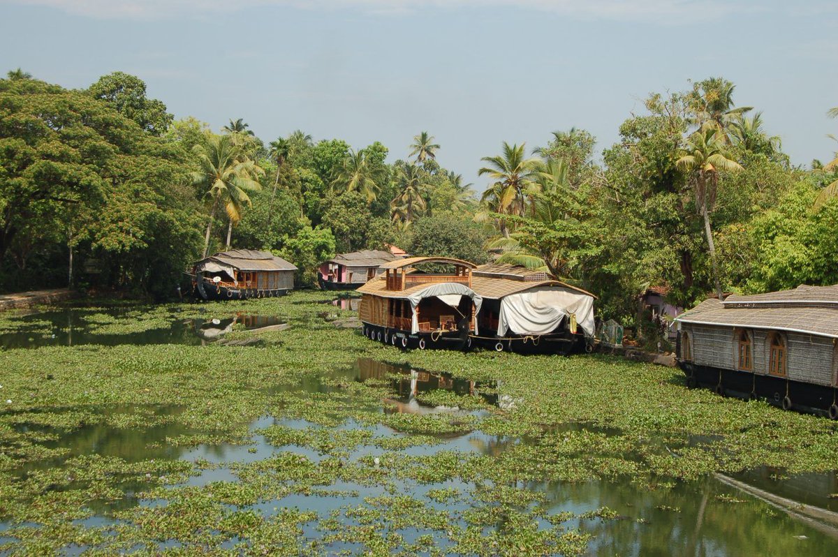 AnitaHendrieka's tweet photo. 10 Incredible Places to Visit in #Kerala, #India via @AnitaHendrieka https://t.co/5xWuF5o0TJ @incredibleindia https://t.co/kUe4XVJhux