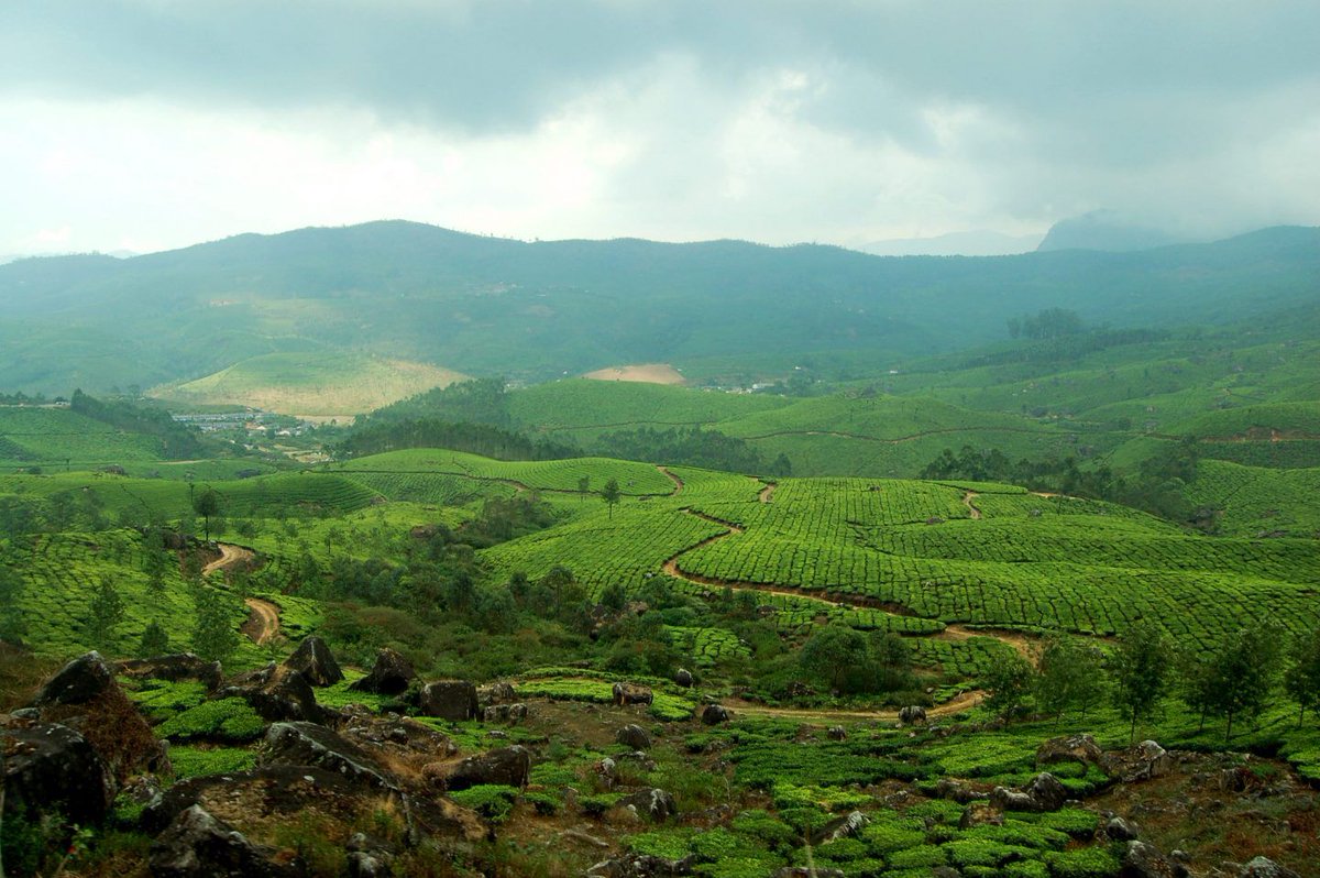 AnitaHendrieka's tweet photo. 10 Incredible Places to Visit in #Kerala, #India via @AnitaHendrieka https://t.co/5xWuF5o0TJ @incredibleindia https://t.co/kUe4XVJhux