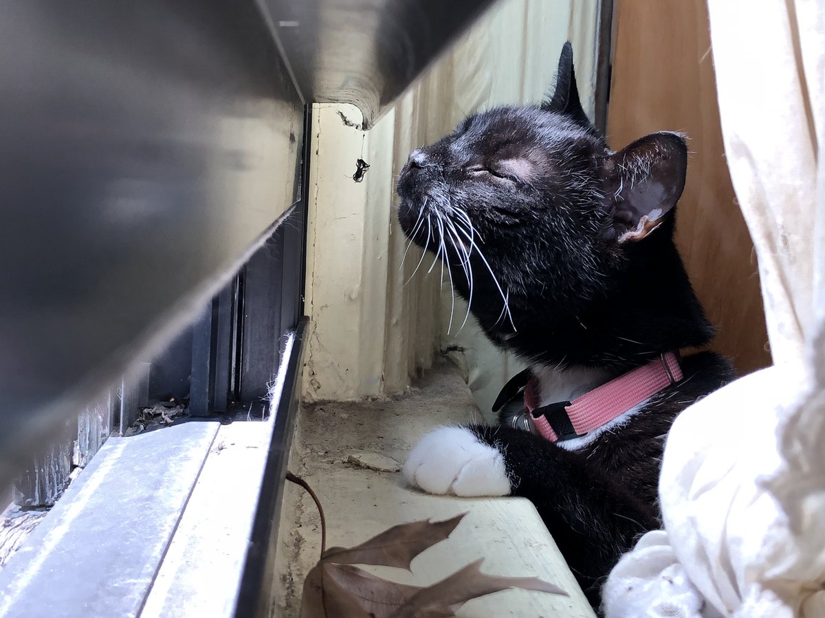 phil_tweets's tweet image. #ShotOniPhone #WhilePooping