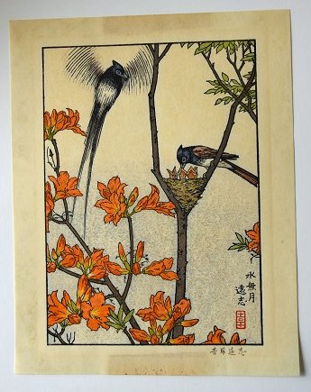 Dans Les Rêves D'Hermione tweet media