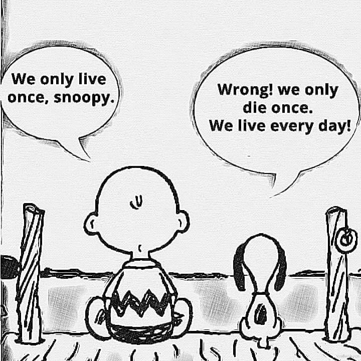 AFR365's tweet photo. Everyday is new and different. https://t.co/CPNWKWKmAo