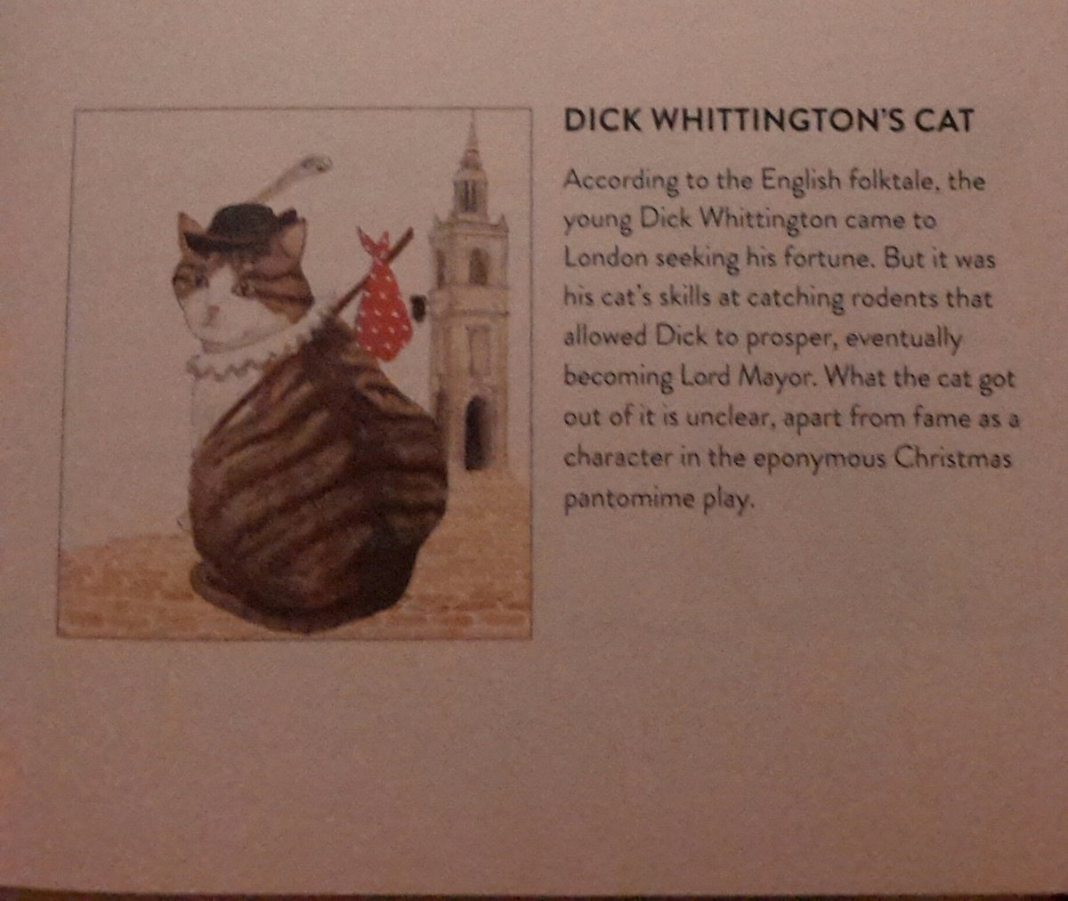 Dick Whittington's CatPaging  @whittingtondic 