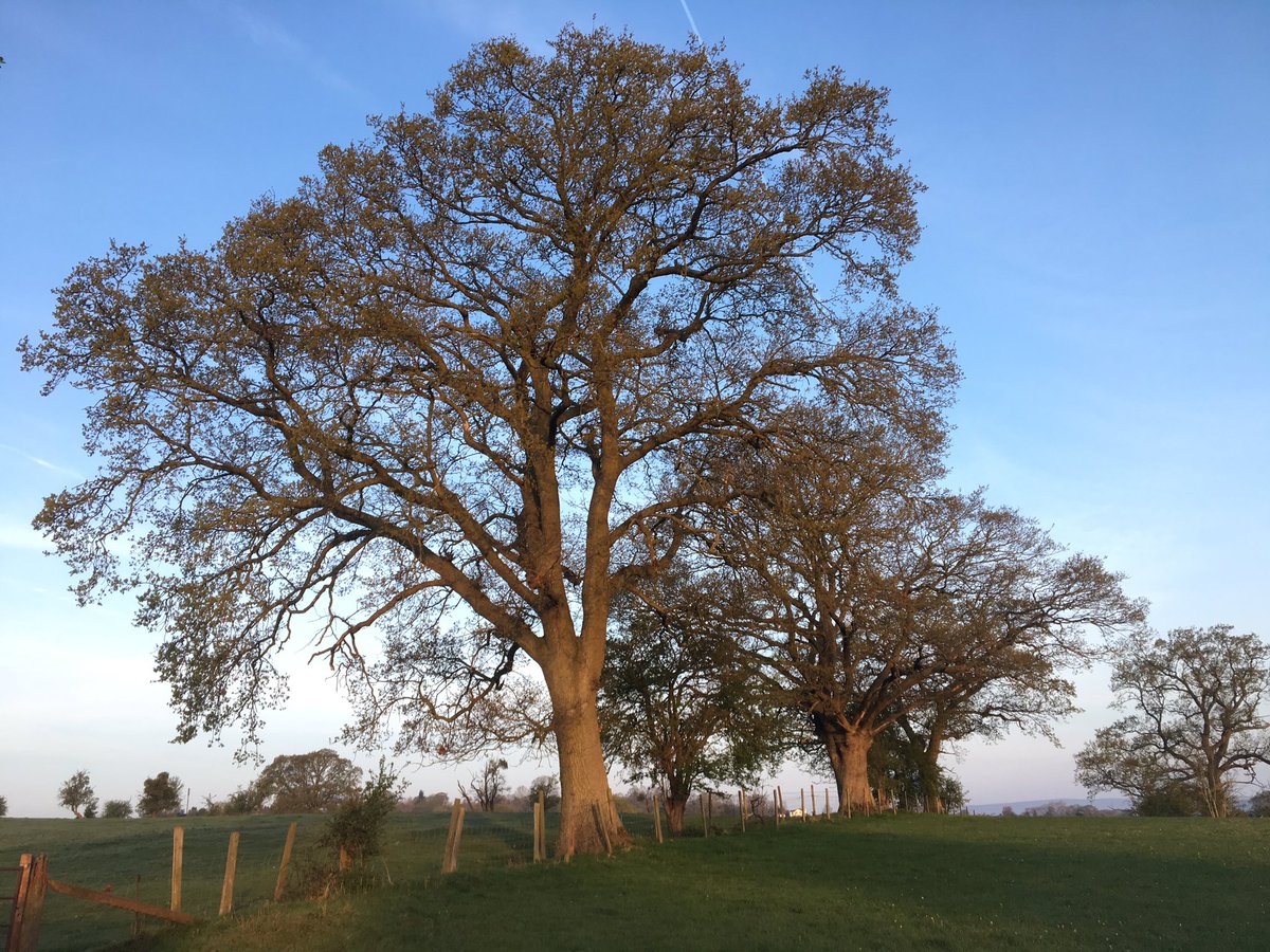 finstumpf's tweet photo. Couldn’t be a better day for #threecastleswalk today @visit_mon @MonmouthshireCC #LoveMonmouthshire https://t.co/9hFMkCHeTm