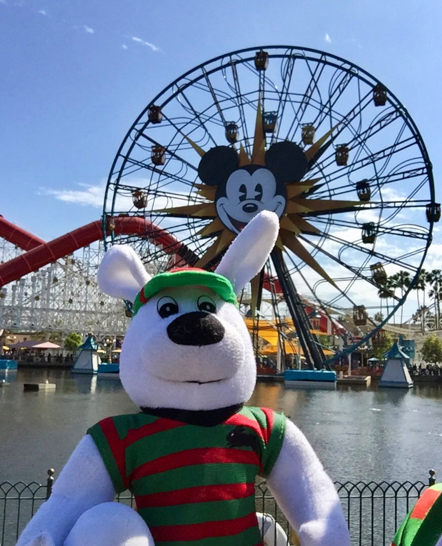 JaredSchnabl's tweet photo. @SSFCRABBITOHS @BlakeSolly @TwoHalves45 @russellcrowe @GranmaBunny Where in the world is #ReggieRabbit?! Heβs at #PixarPier at @Disneyland! #RabbitohsRoundTheWorld #ReggieRoundTheWorld β€οΈππ°πβ€οΈππ°ππ¦πΊπΊπΈπ¦πΊπΊπΈ https://t.co/6E6nifi3CO