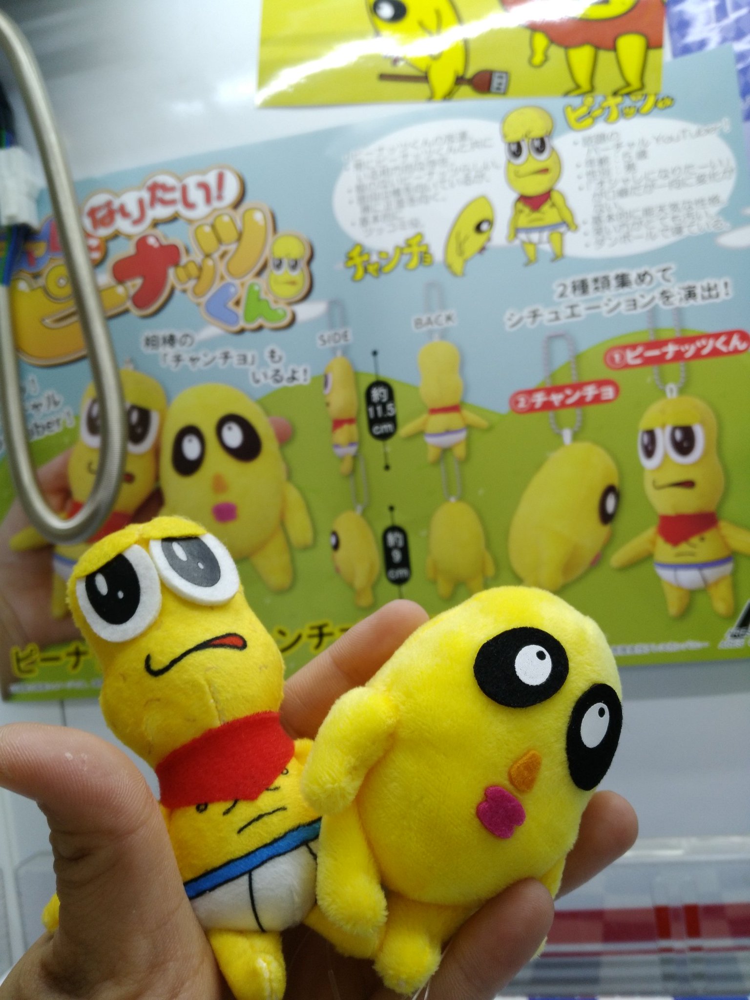 もってきーな藤枝店 on X: 