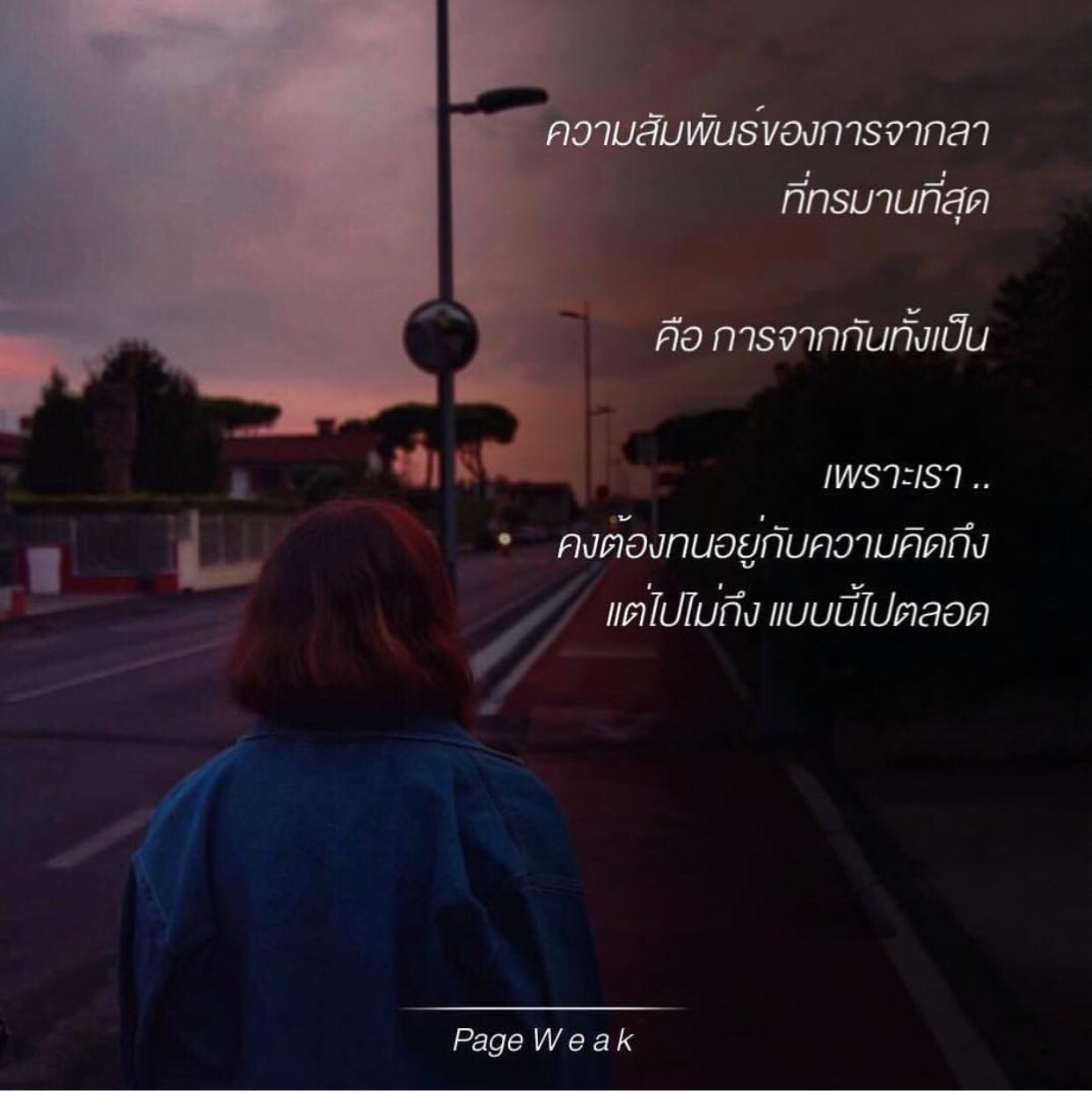 ทางของฉัน#ฝันของเธอ on Twitter: ทางของฉัน#ฝันของเธอ On Twitter: