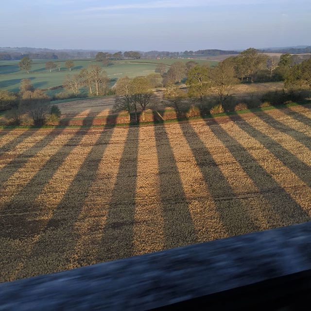 bonytony's tweet photo. #morningshadows https://t.co/yTq7tPHPix https://t.co/IpUBCq47u6