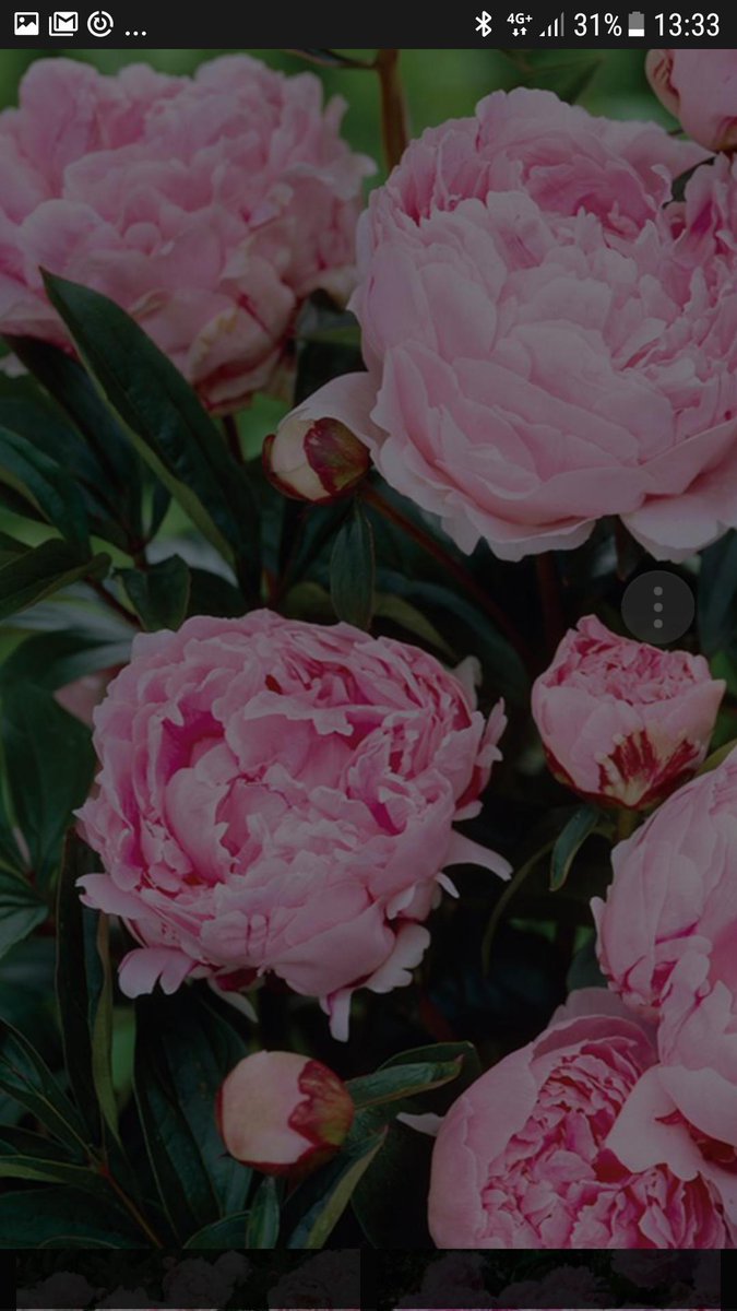 monica_giandotti (@la_giando) on Twitter photo 