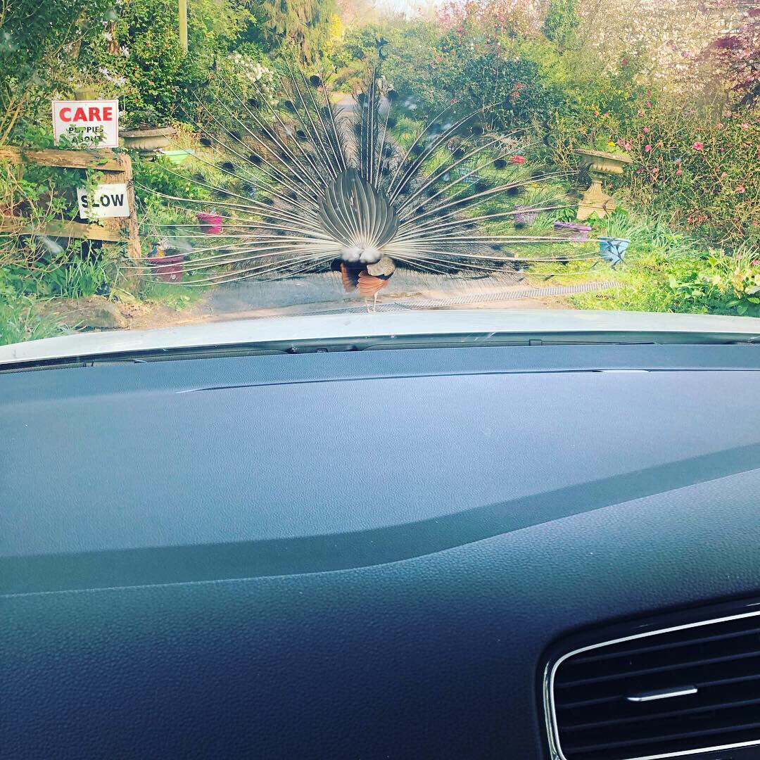 When you’re ready...