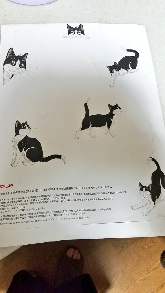 お！楽天からフィリックスのサンプルが届いたよ❤いつも猫に必要な物を買ってるからかな？ありがてぇ！うちのデキる猫たちにプレゼントだわ☺️