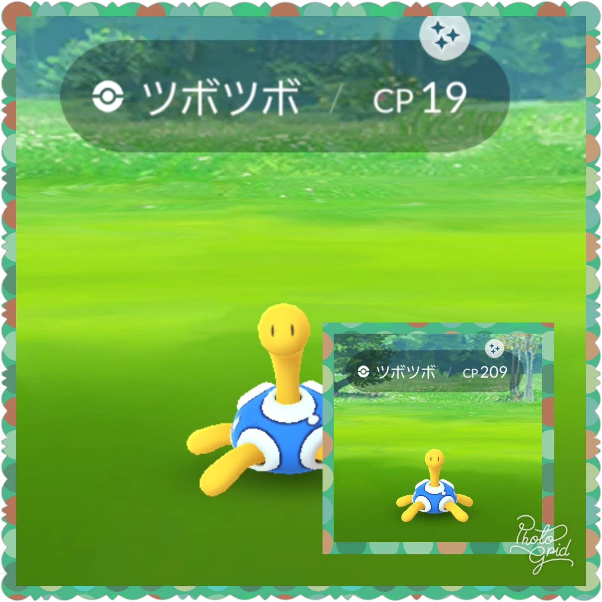 تويتر どんちゃん على تويتر ツボツボ色違い北フジとゆめタウンでget 未だにミミロル色違いget出来てませんが ミミロルいつになったら来てくれるの ポケモンgo Pokemongo ツボツボ 色違い 色違いミミロル 色違いツボツボ ミミロル 北フジ ゆめタウン