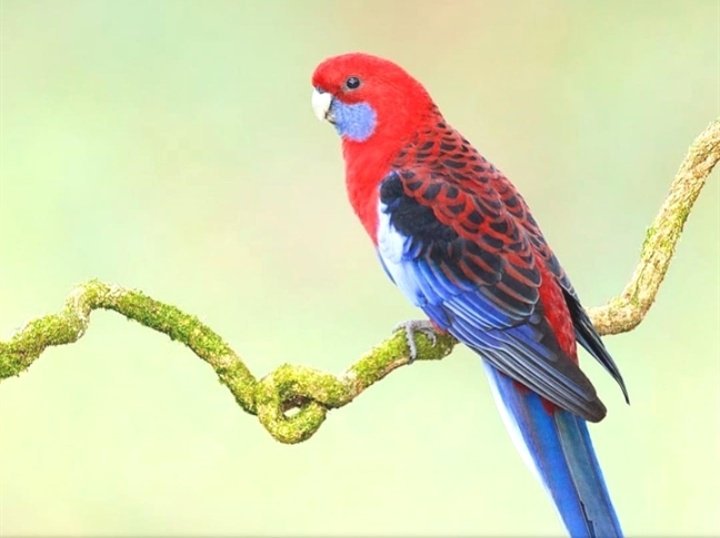 idowumartins5's tweet image. You need to go from wanting to
change your life to deciding to changeyour life. #LifeApplication