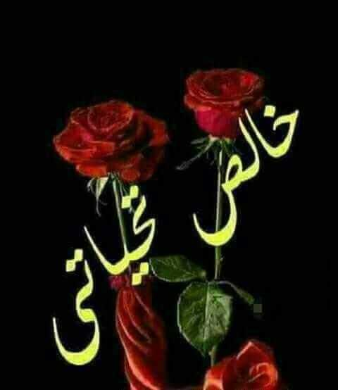 Shakhreet's tweet photo. يلوموني في حبهم و قربي منهم ..
و هل يستطيع القلب مفارقة الجسد ..
أم هل يستطيع حي أن يعيش بلا روح ..
هكذا هم و هكذا أنا ، فاتركوني و شأني ..
و اجعلوا قلبي ينبض بهم و بأسمائهم ..
لا عدمتكم يا غاليين ..

#rad15
#rad16
#rad17
#rad18 https://t.co/vhnrmHJuZi