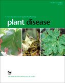 SEFitopatologia's tweet image. In the April issue of @PlantDiseaseJ 'First Evidence of Tomato Yellow Leaf Curl Virus-Israel IS76 Recombinant Isolates Associated with Severe Yellow Leaf Curl Epidemics in Resistant Tomatoes in Spain' by #CEBAS @CSIC @Abiopep bit.ly/2DoXRIy