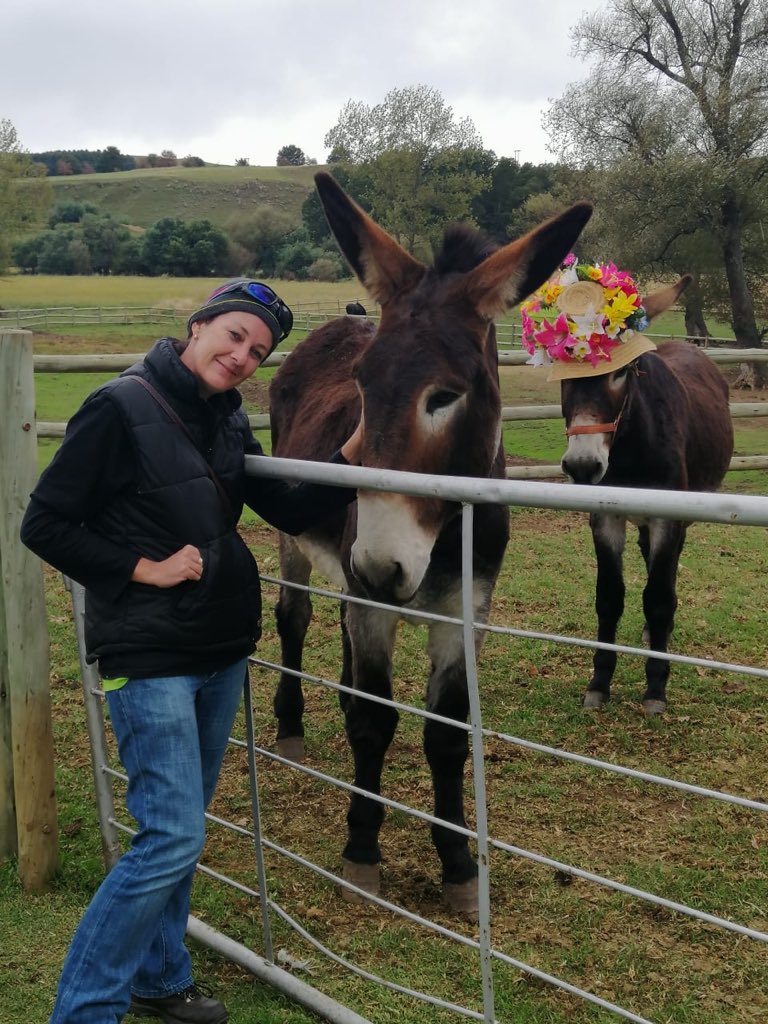 MelanieRoux's tweet photo. Happy Easter! Have an awesome day ! #underberg #newenglandfarm #bushmansnek #EasterHoliday #EasterWeekend2019 #DonkeyOfTheDay https://t.co/IPBJfTNJnD