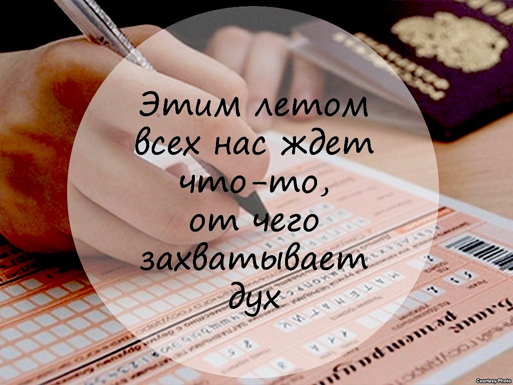 Смешные картинки про огэ и егэ