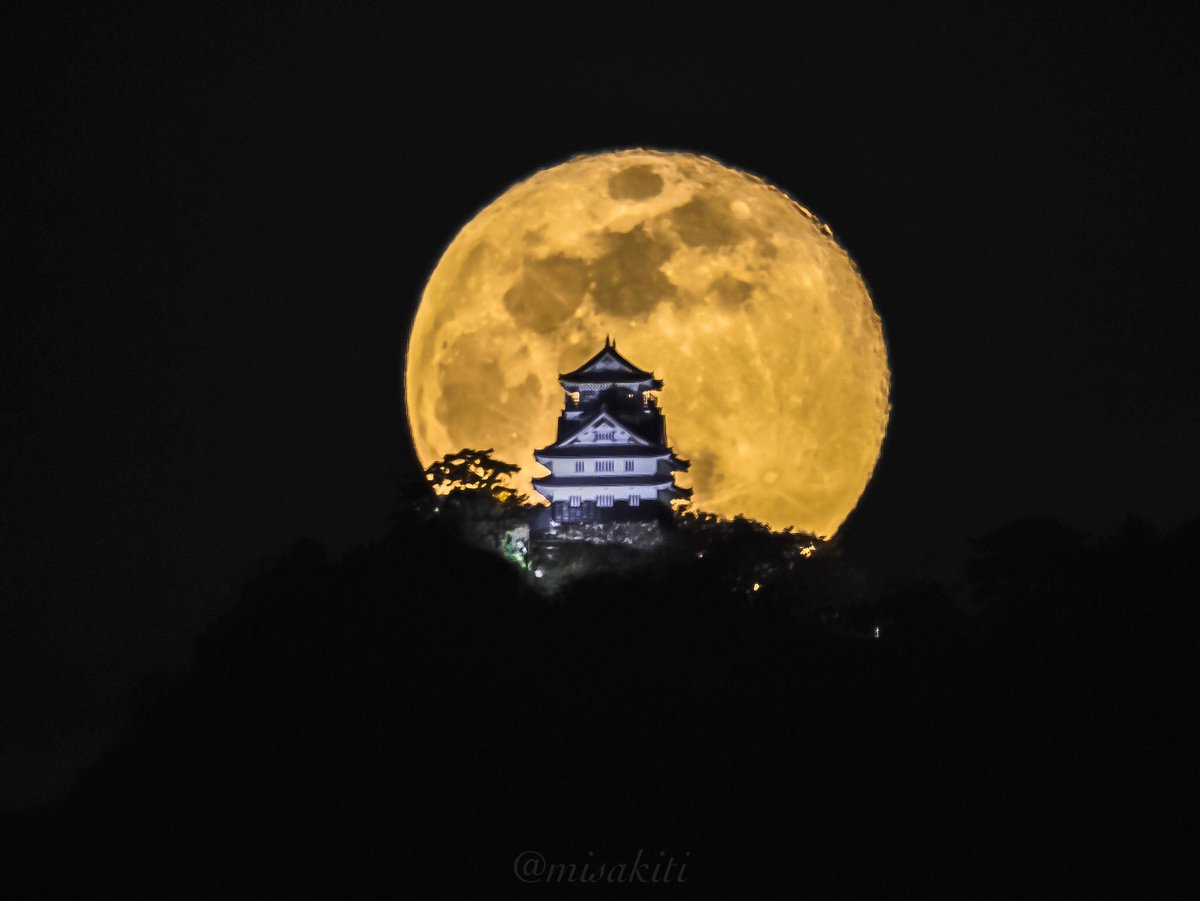 みさきっち ポップスター على تويتر 平成最後の満月城チャレンジ 今夜は岐阜城に初参戦してみたけど珍しくr3まで持ち出したのにこのざま O ブッブー 560mm F4 1 5 Iso100 1904 19 45 Sony Sonyalpha Sonyshooter riii Sel400f28gm Sel14tc