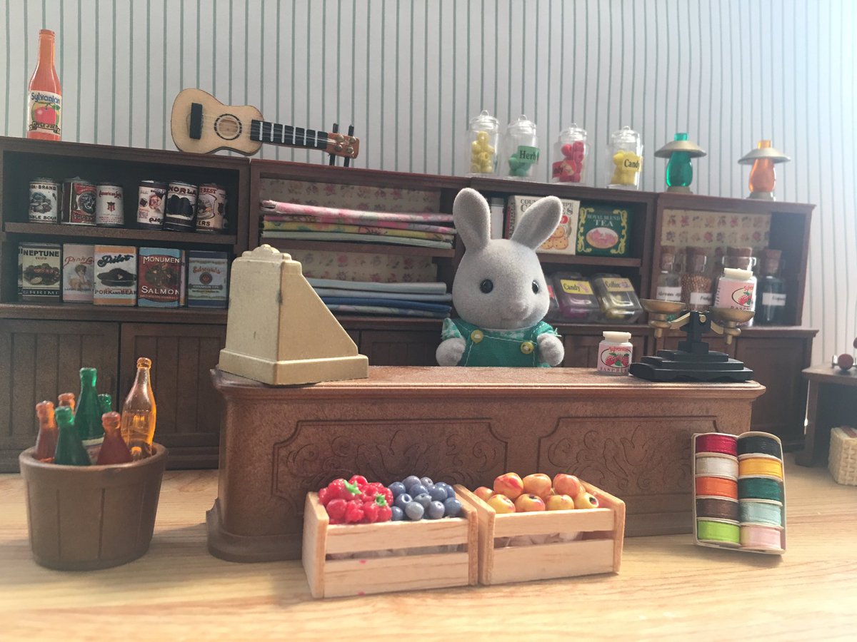 Sylvanian Memories (@sylvanianmemory) / Posts / X