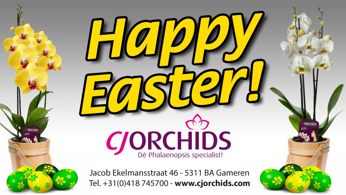 CJ Orchids tweet media