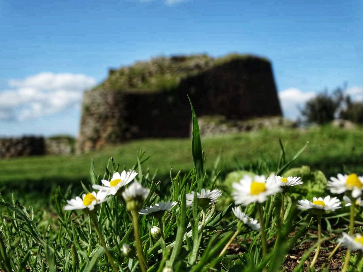 NuragheLosa's tweet photo. Si avvicinano le feste!
🐣🐤🐥🐰🐇
Vi ricordiamo che il #NuragheLosa si può visitare tutti i giorni dell'anno
dalle 9 del mattino ad un'ora prima del tramonto.
Visite guidate per #pasquetta
Partenza dalla biglietteria
⏰9.30
⏰11.00
⏰12.30
⏰15.00
⏰16.30
⏰18.30 
Vi aspettiamo! https://t.co/KN83VxzY1T