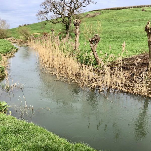 GayOutdoorClub1's tweet photo. If you are out with one of our groups today, have a great time and let us know how it goes. If not, check out our future events and join us another time. #LGBToutdoor https://t.co/KXZGagPqWp https://t.co/tU8v22AbN8