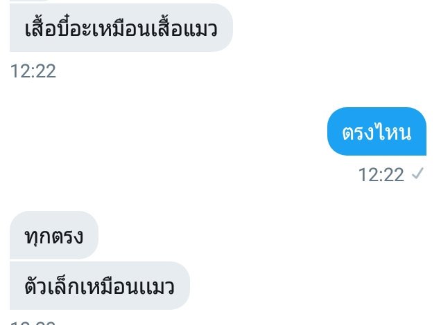 เเมวดุจะมาขิงเเฟนครับ tweet media