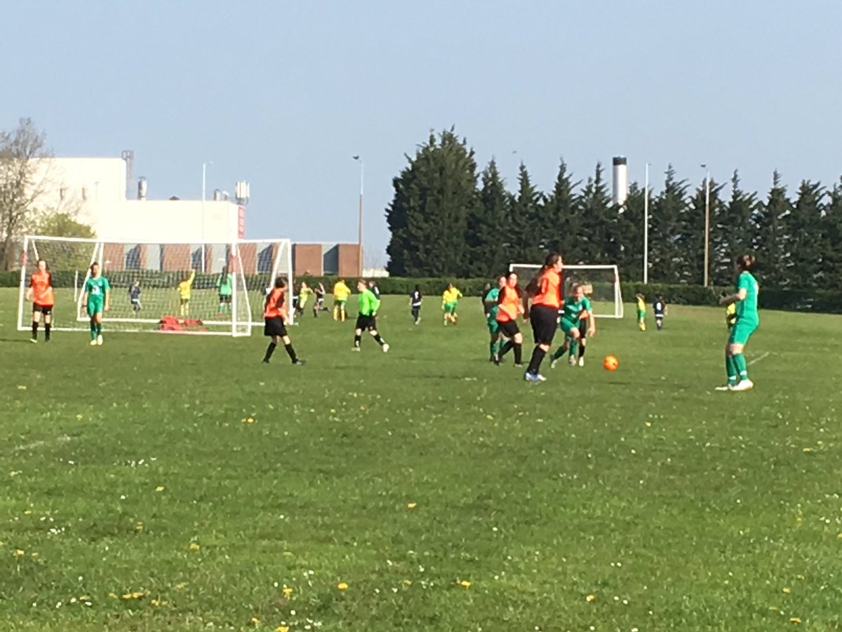 CgflWirral's tweet photo. First matches underway at Arrowe Park. @GlenavonBelles @LinnetsB @hopefarmjfc @OxtonLadiesJFC https://t.co/9H7VpXEbc8