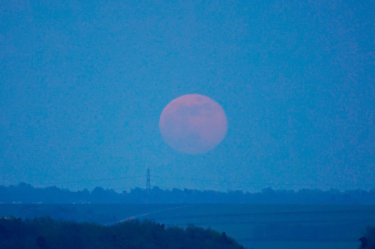 AvelingFilms's tweet photo. #PinkMoon https://t.co/k5UYUfSd9l
