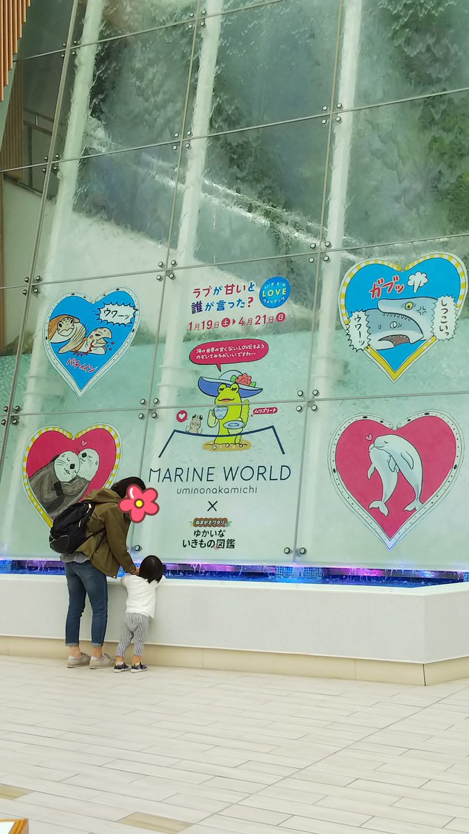 マリンワールドのぬまがさワタリさんコラボ展示、滑り込みで見てきました!ラブはあまくないと言いつつラブラブなラッコで終わるという、愛にあふれる展示(笑)!楽しかったです。キーワードラリーでクリアファイルもゲット。イベント期間は明日まで!またやってほしいですね～ 