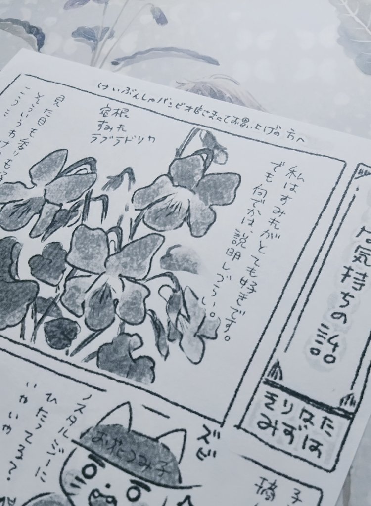 ↓の恵文社バンビオ店さまの委託通販ぶん、売り切れ?となっていますが、追加をお願いさせて頂いています。
サイン+こんなペーパーも付くのでよければ暫しお待ち下さるとうれしいです
