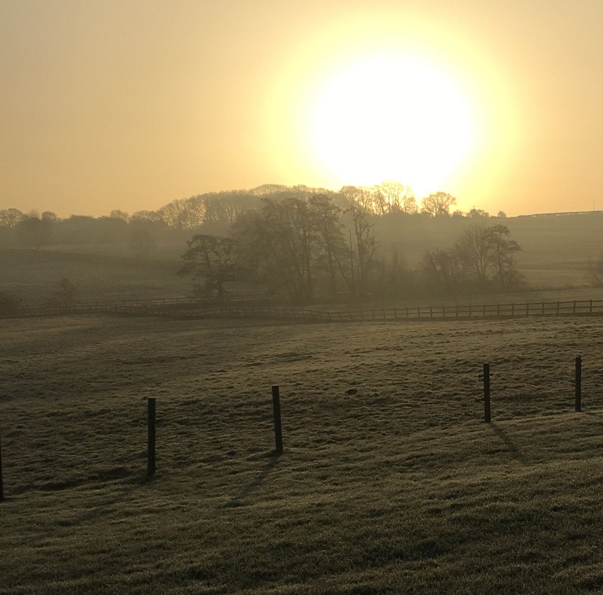 Daily #NordicWalking at Homefield in beautiful countryside. Such a gorgeous way to start the weekend ❤️