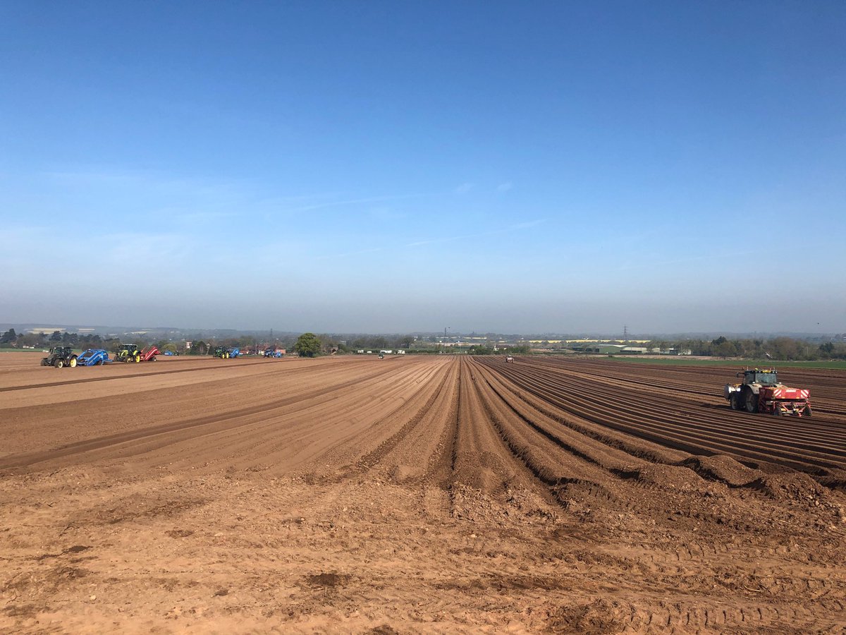 120ac fields in Shropshire are pretty hard to come by! Great for productivity this #EasterWeekend though #planting #lovethespud