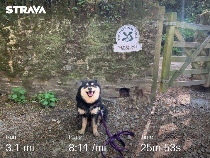 Check out my run on Strava.
strava.app.link/Pg14JASk2V #dogsoftwitter #parkrun ⁦<a href="/Plymparkrun/">PlymValley parkrun</a>⁩ #EasterWeekend2019