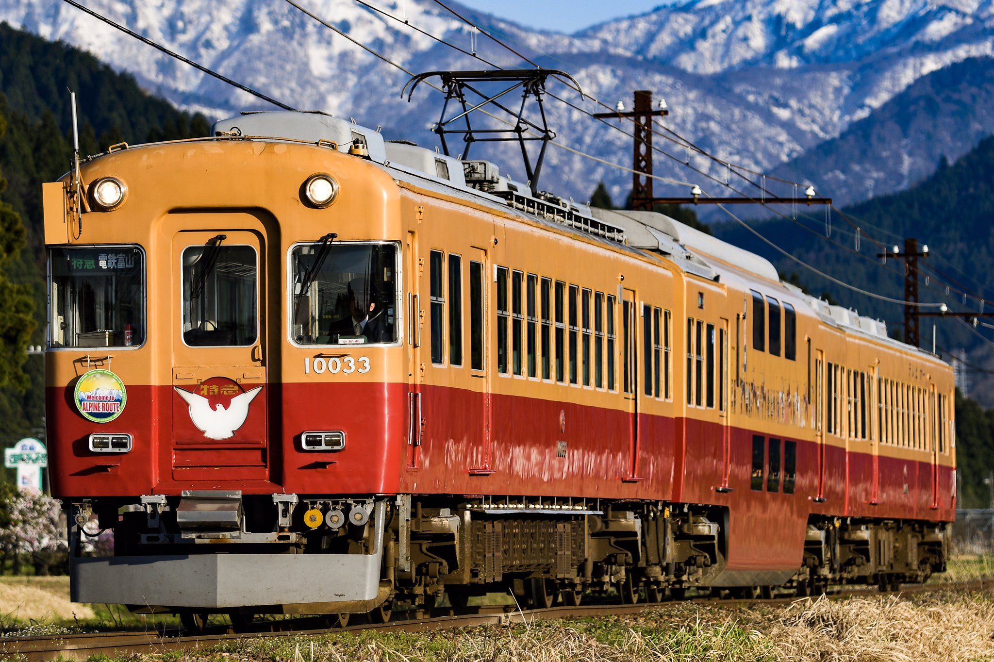 鉄道プレート 両面 アルプス/たてしな 鉄道プレート 両面 アルプス/たてしな